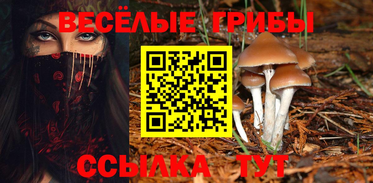 Галлюциногенные грибы MAGIC MUSHROOMS Владивосток