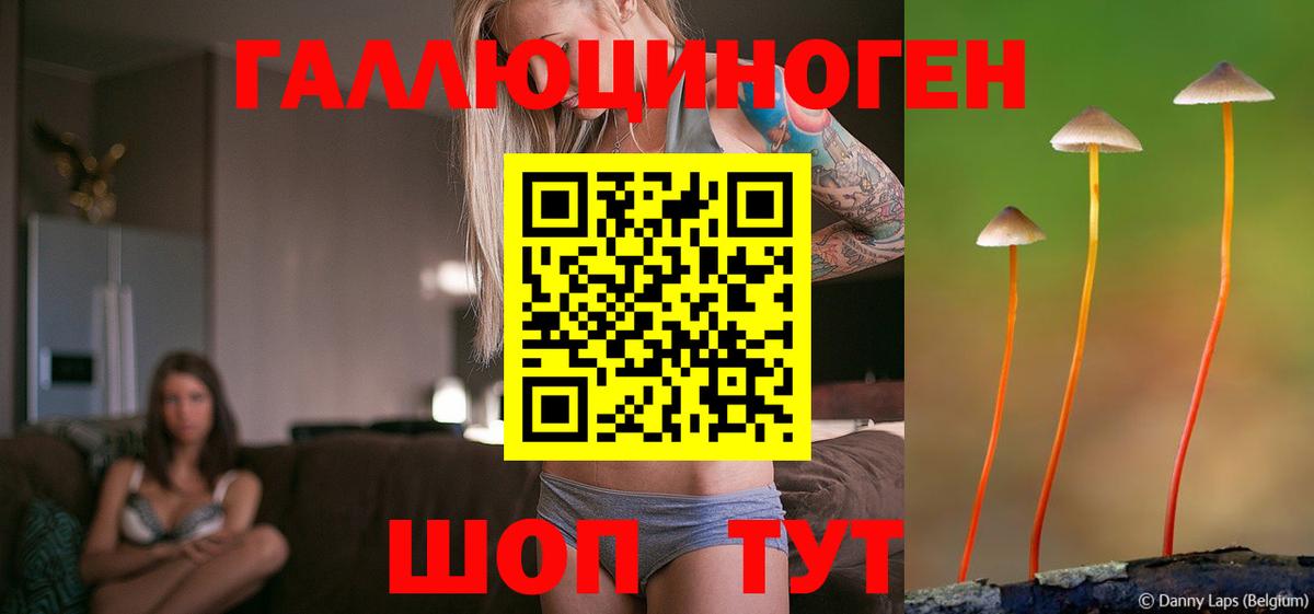 Владивосток  Галлюциногенные грибы GOLDEN TEACHER  Галлюциногенные грибы Psilocybe  наркота  Вход с VPN 